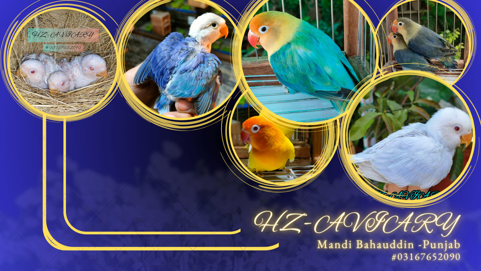 Huzaifa Hz Aviary