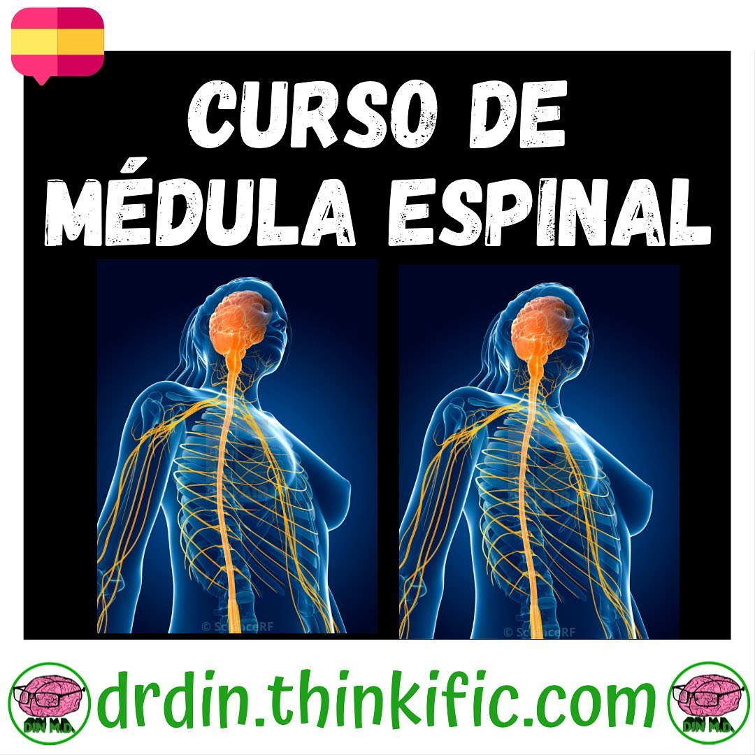 Din MD / DR Din - ¡Nuevo Curso de Academia DR. Din! 🏛 🧠...