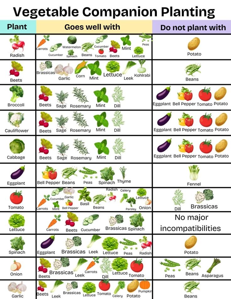 Vegetable Companion Planting Chartpdf