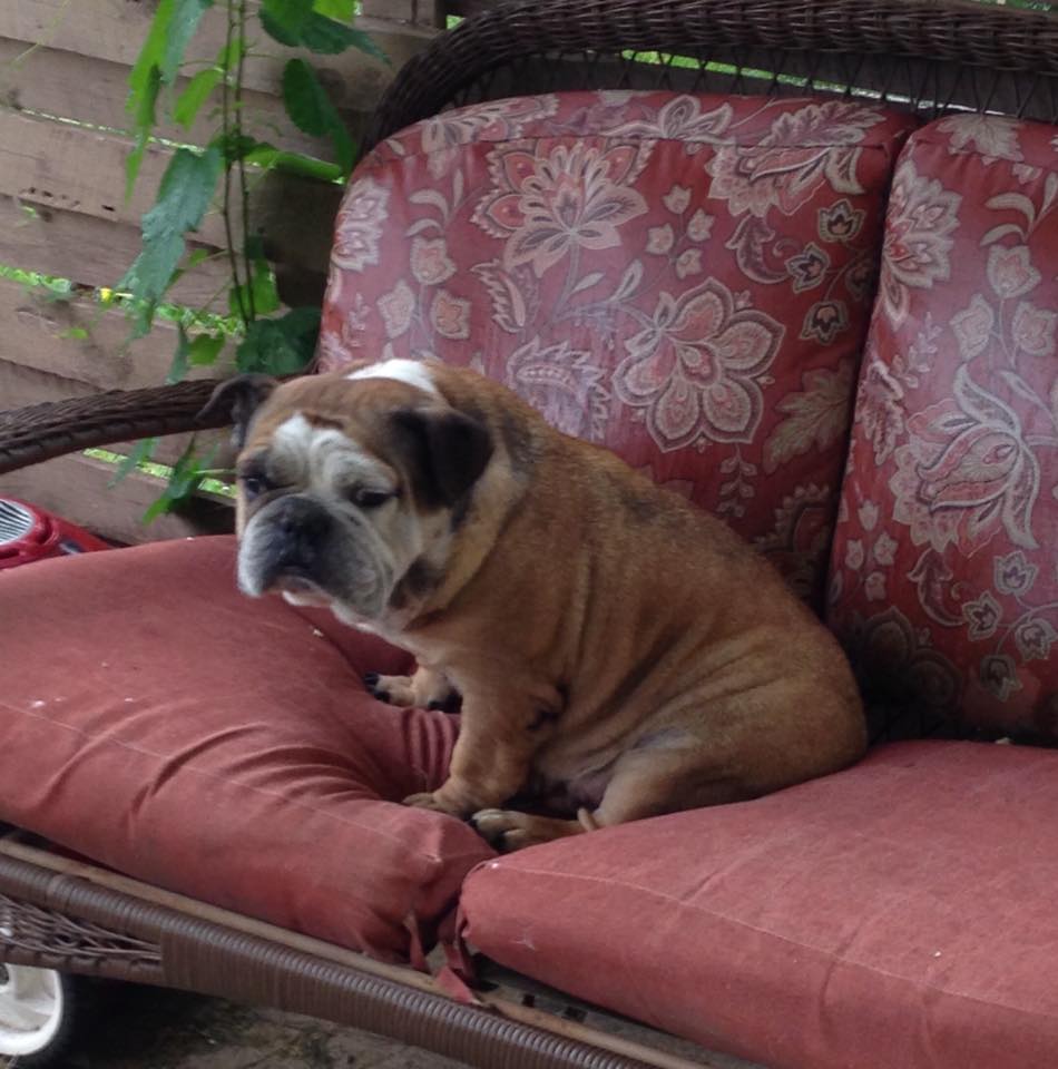 RIP Grumpy Grace