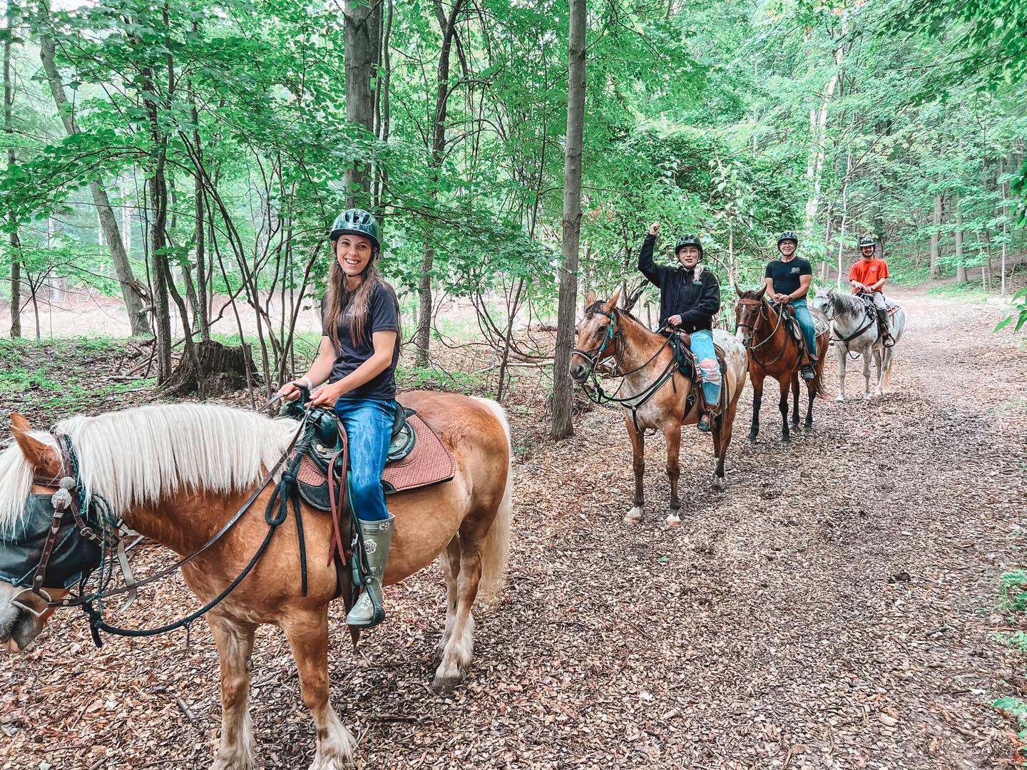 The Nunda Ranch - 🇺🇸 Looking for something unique to do in...