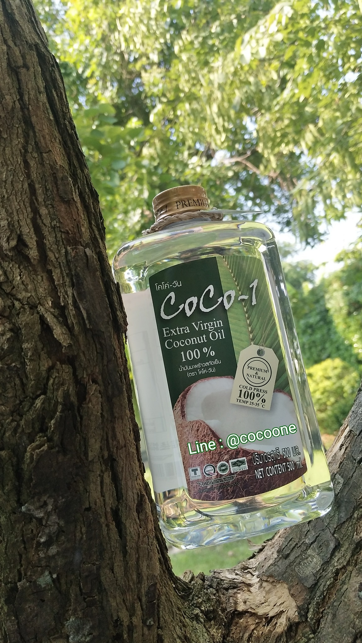 #มีความธรรมชาติสุดๆ 💢ล๊อตล่าสุดผลิต... - CocoOne Coconut Oil