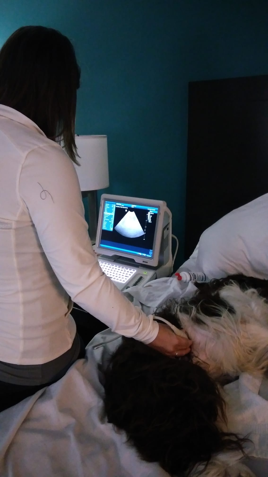 Dr. Ramer learning the in's and... - Walk-In Veterinary Care | Facebook