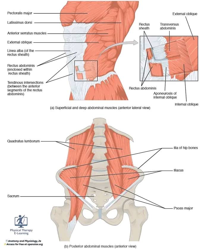Dr.Zakir physiotherapist | Islamabad