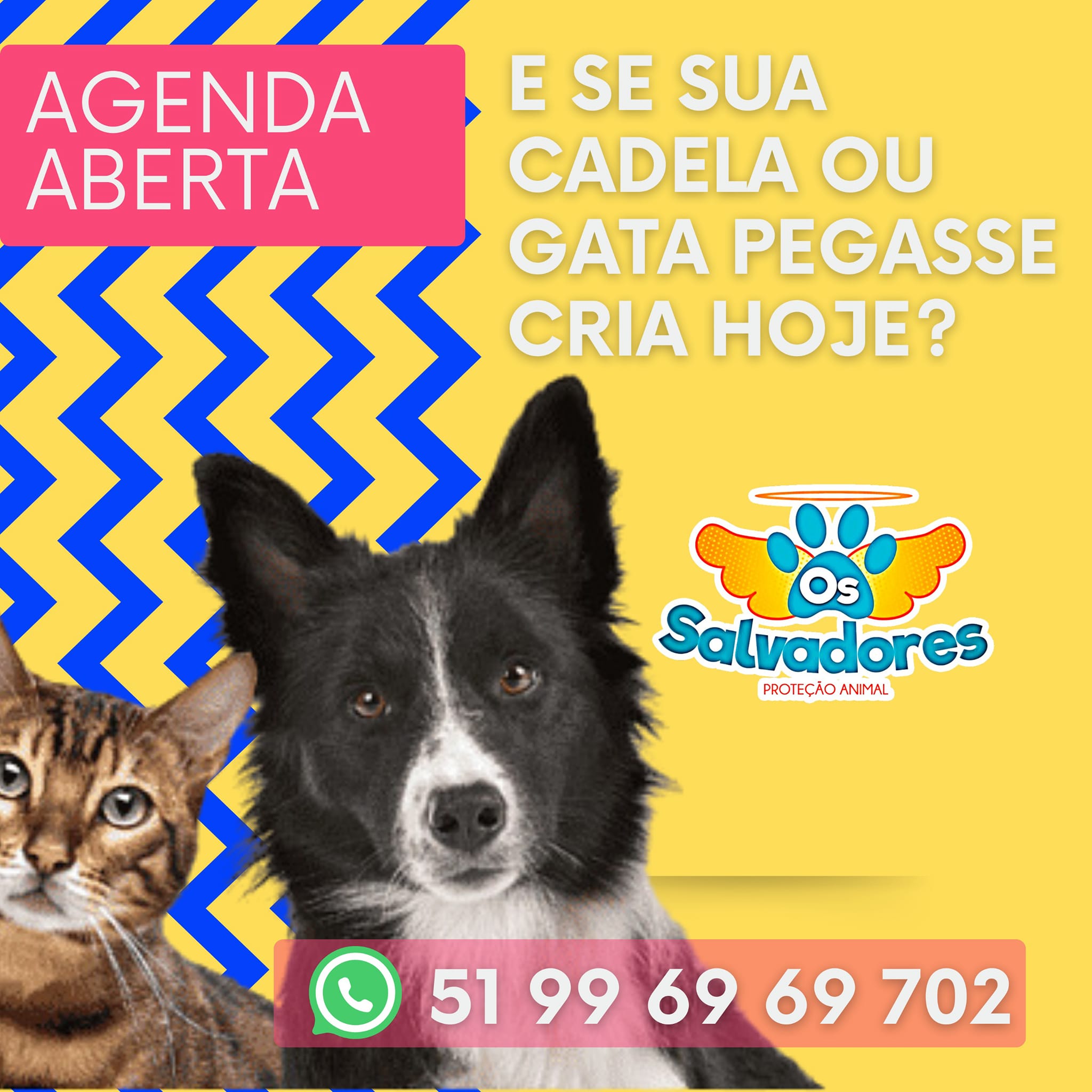 MOTASA - Na Motasa você encontra a farinha certa para cada receita ...