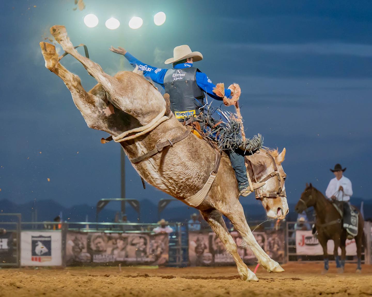 Legacy - P1B Jitterbug and Jesse Wright Professional saddle bronc rider ...
