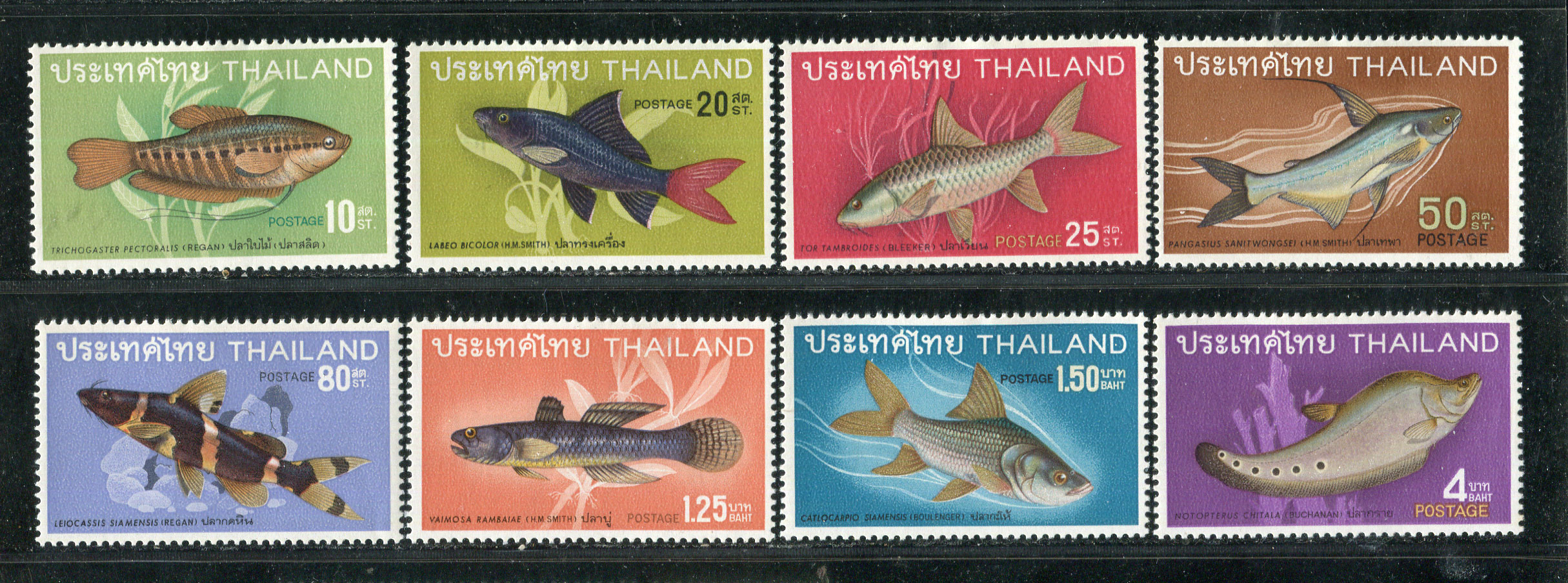 แสตมป์ไทยเก่า ปี2511 ชุดปลาไทย... - Classic Siam Stamp แสตมป์