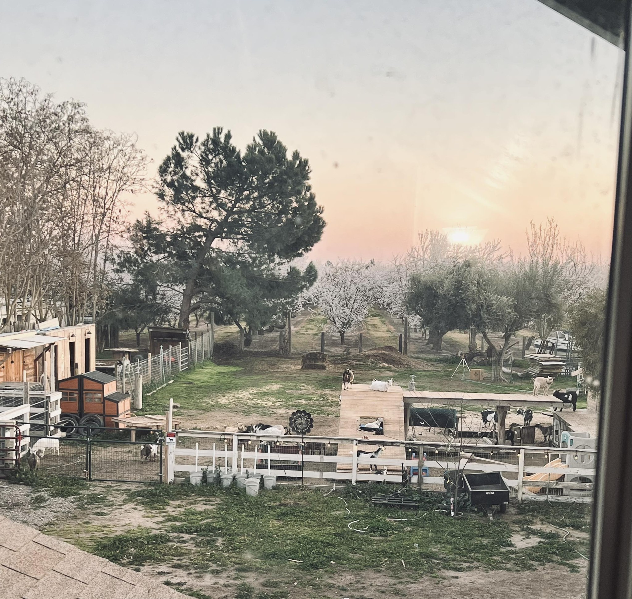 Little Boot Ranch added a new photo. - Little Boot Ranch