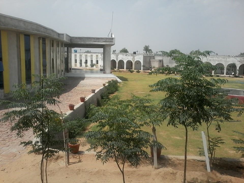 OPJS University