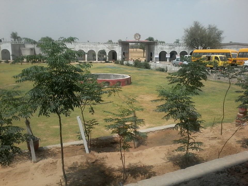OPJS University
