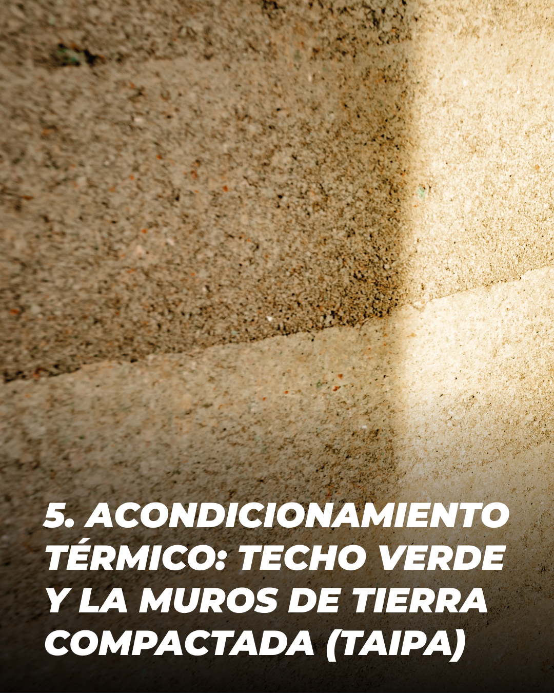 TAGMA - Una Escuela Sustentable - ¿Sabías que el bambú es un recurso ...