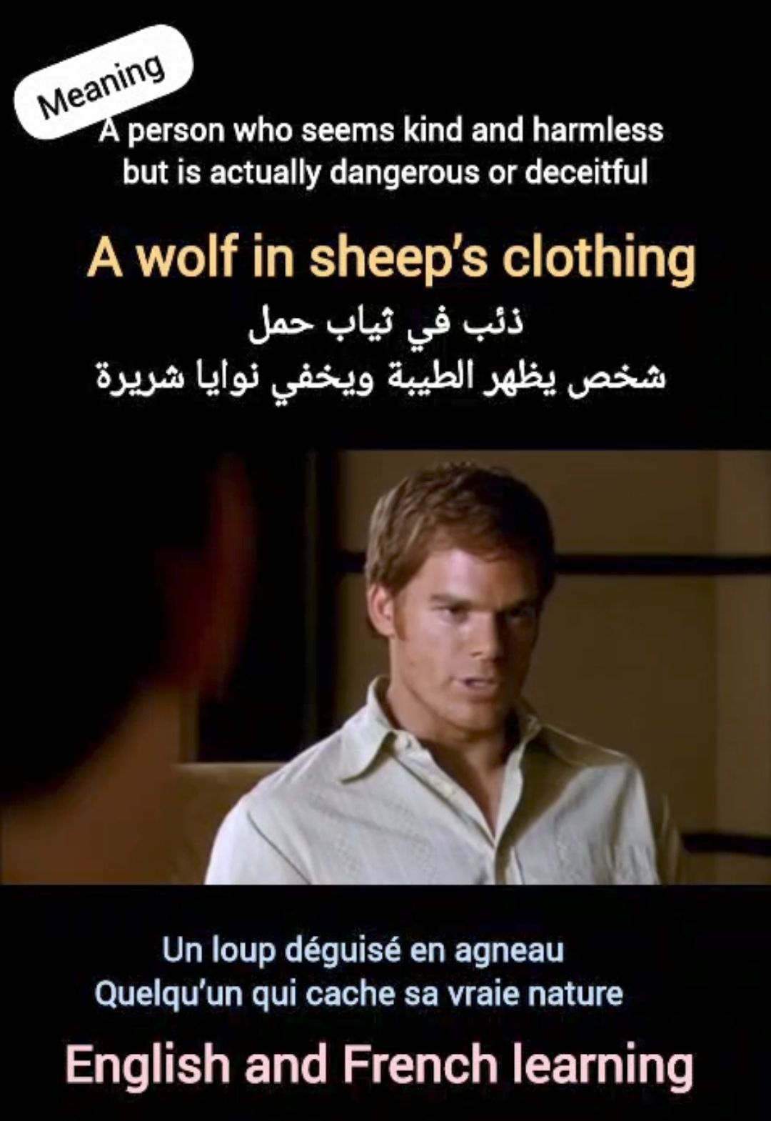 English - A wolf in sheep's clothing.... | Facebook