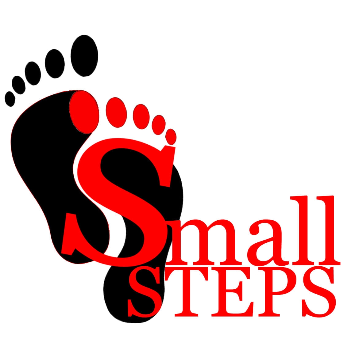 Small Steps LLC