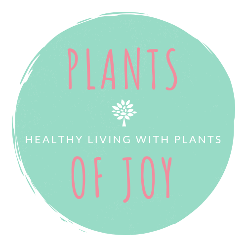 thoroughly clean the succulent roots. | Abi Jhoordan Choirii Jr.
