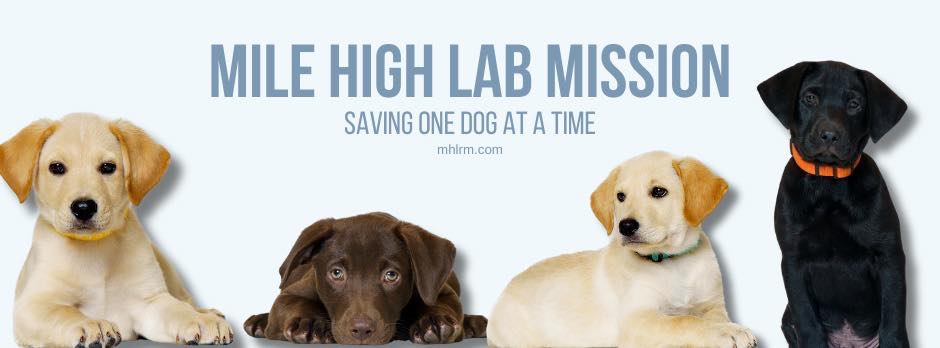 Mile High Labrador Retriever Mission