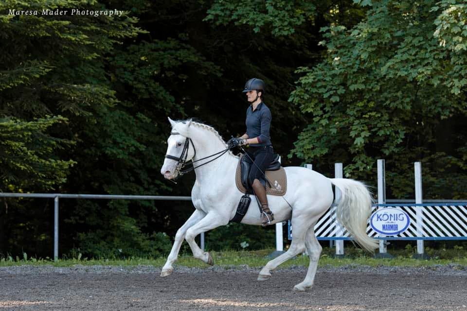 Dein Hufschlag ist mein Herzschlag ️ ️ ️ www.marino-thehorseofdreams.at ...