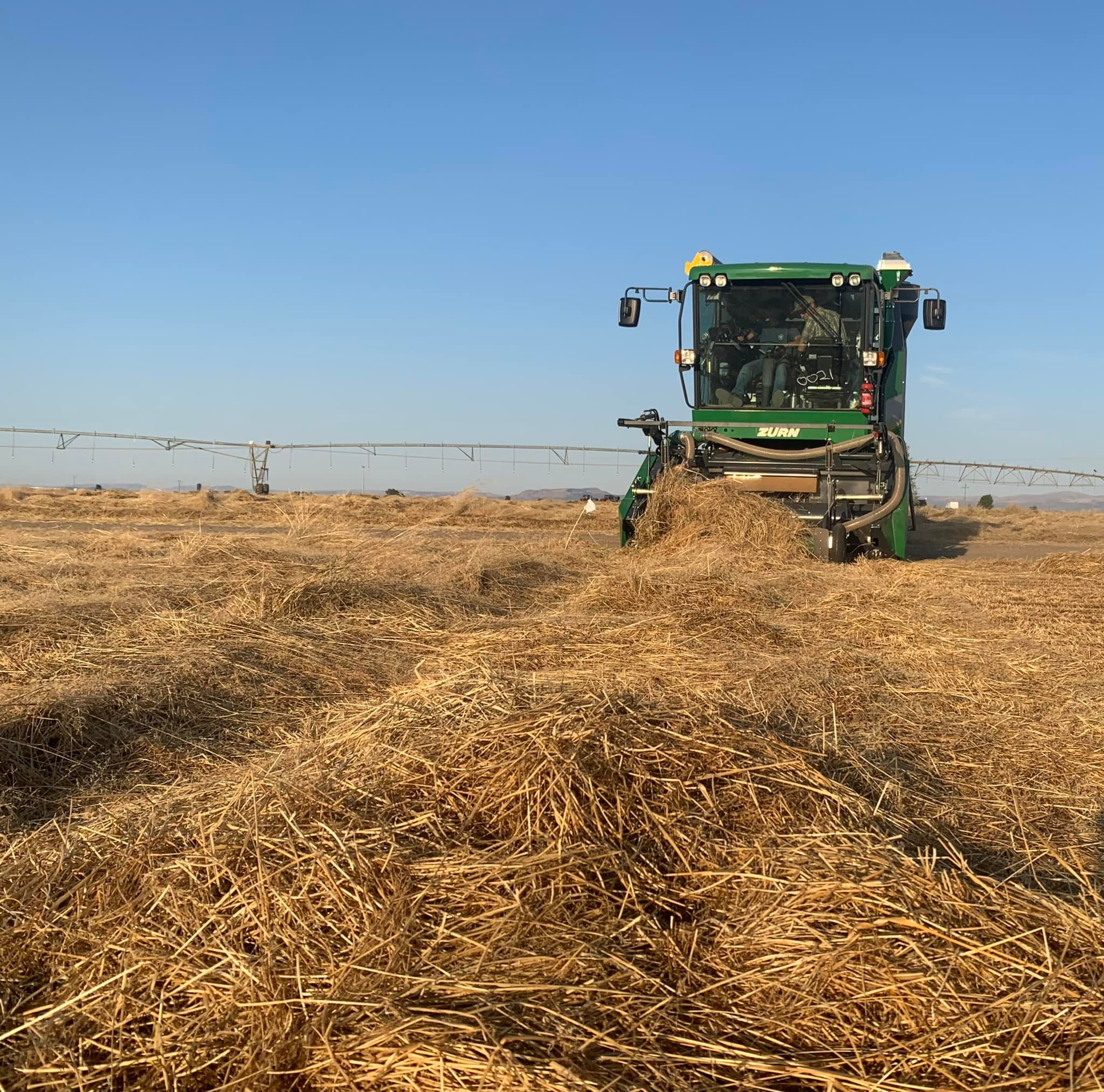 Pratum Co-op - Madras grass seed research by Kyle Roerig.... | Facebook
