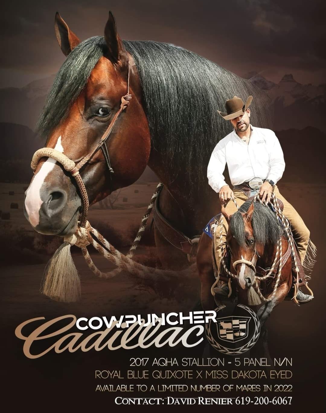 Many, many thanks to... - Wilmington College Equine Program | Facebook