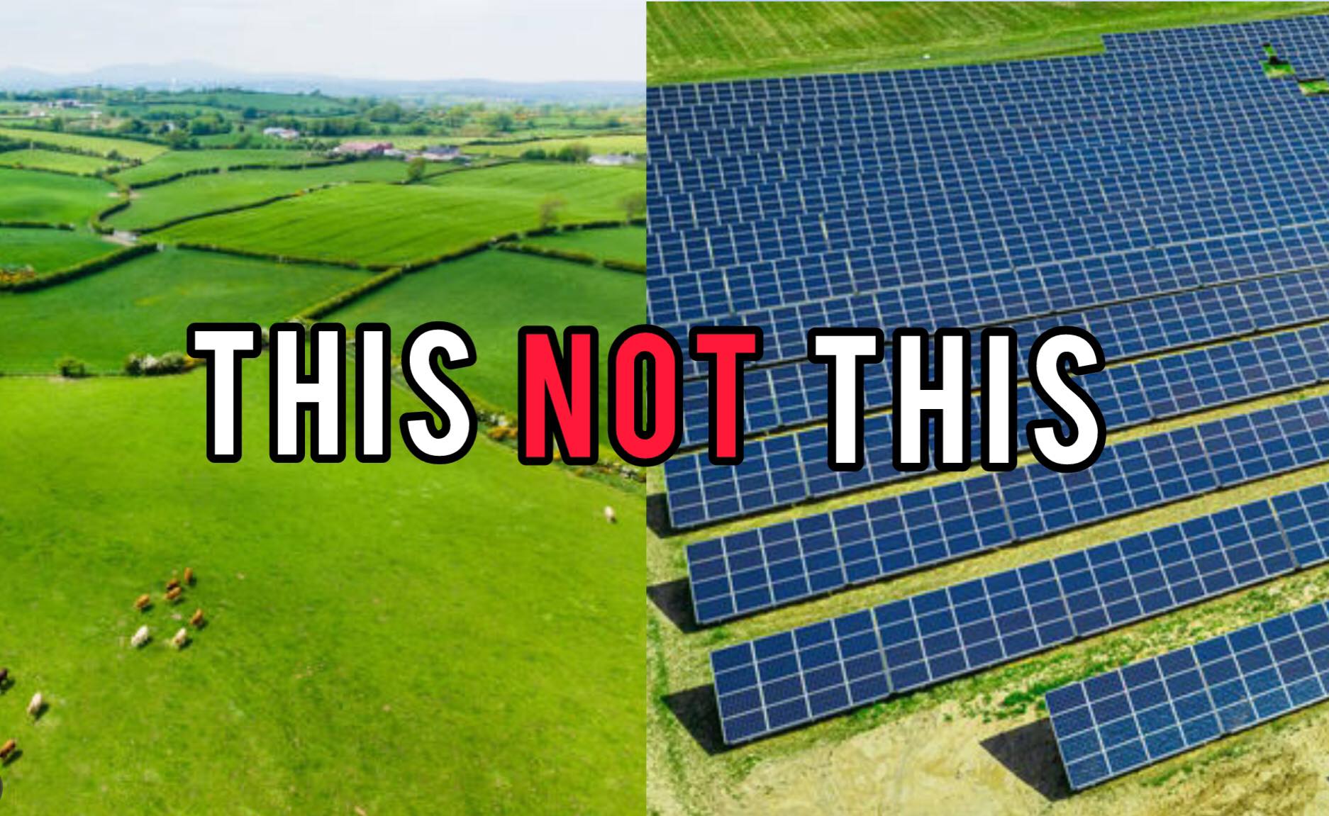 Pyworthy Solar Protest