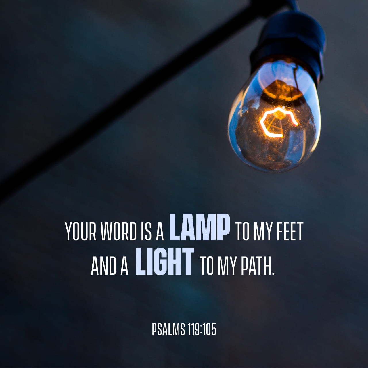 EJ - Your word is a lamp for my feet, a light on my path. Psalms 119: ...