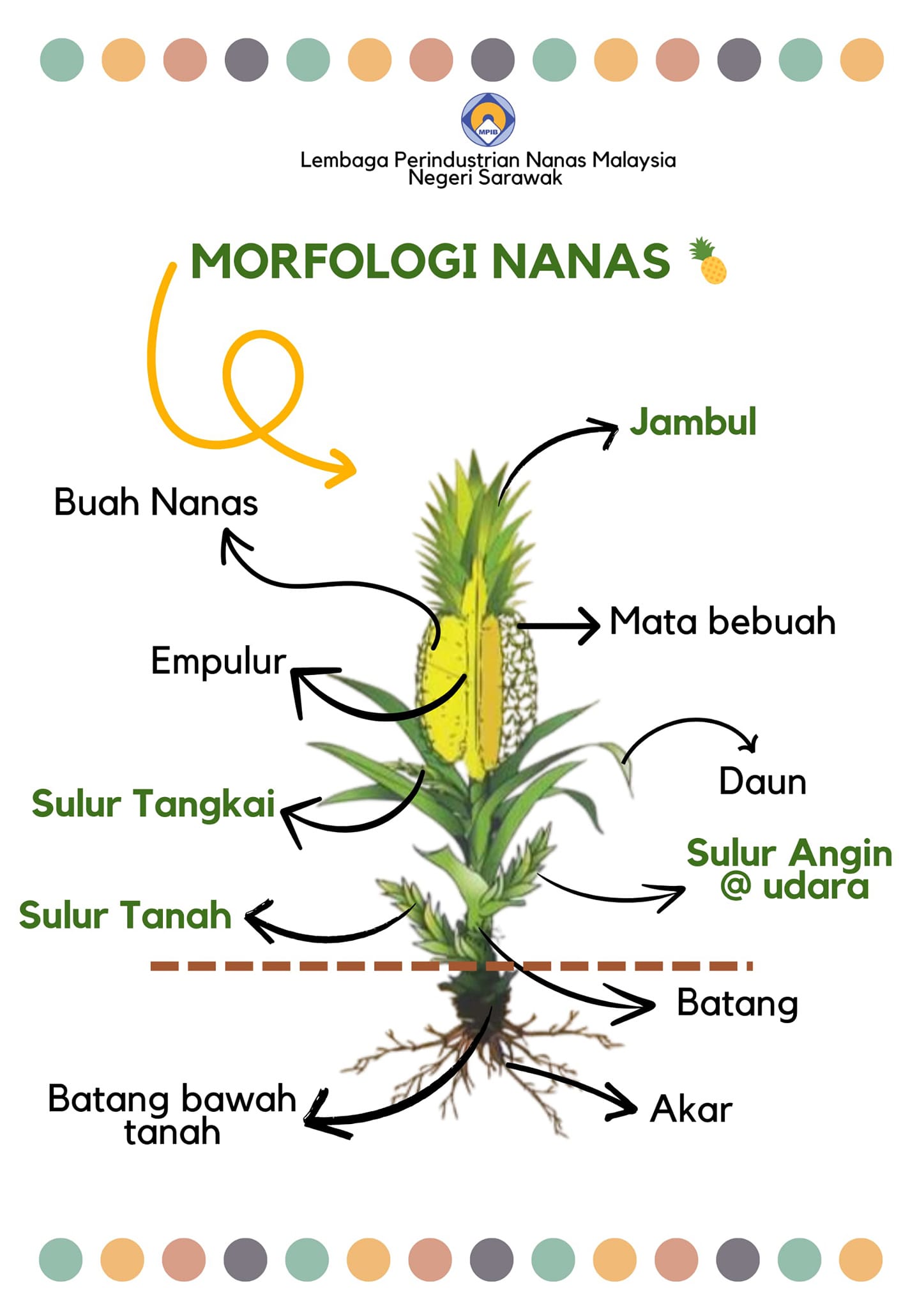 Lembaga Perindustrian Nanas Malaysia Negeri Sarawak