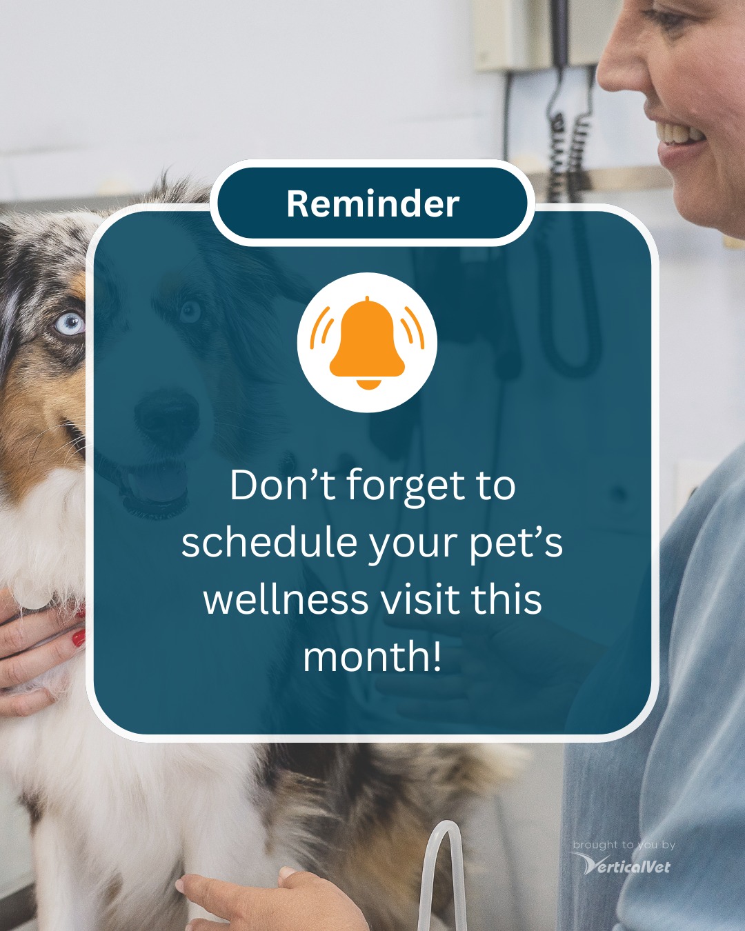 Eufaula Animal Hospital | Eufaula AL
