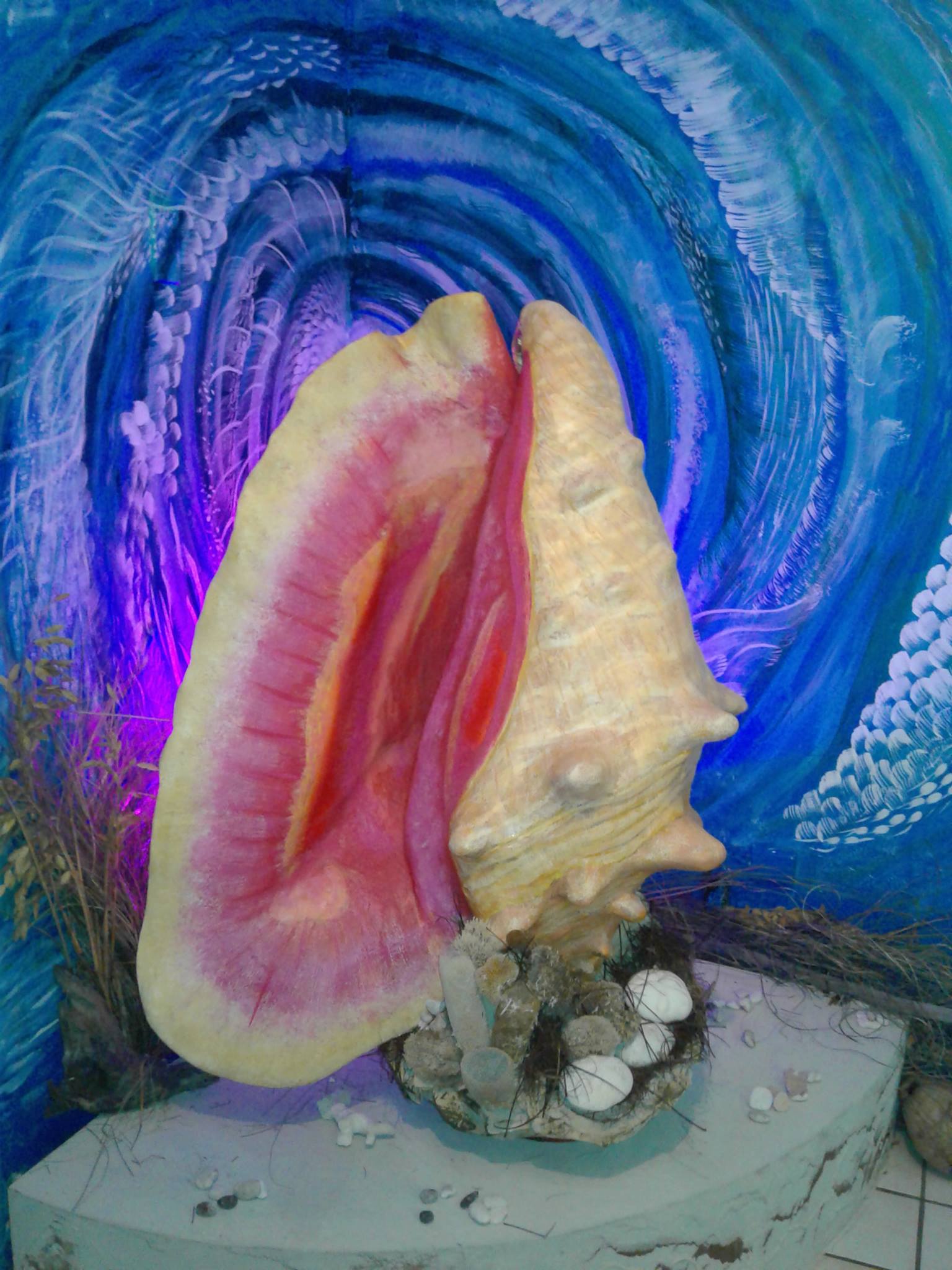 TCI Shellman