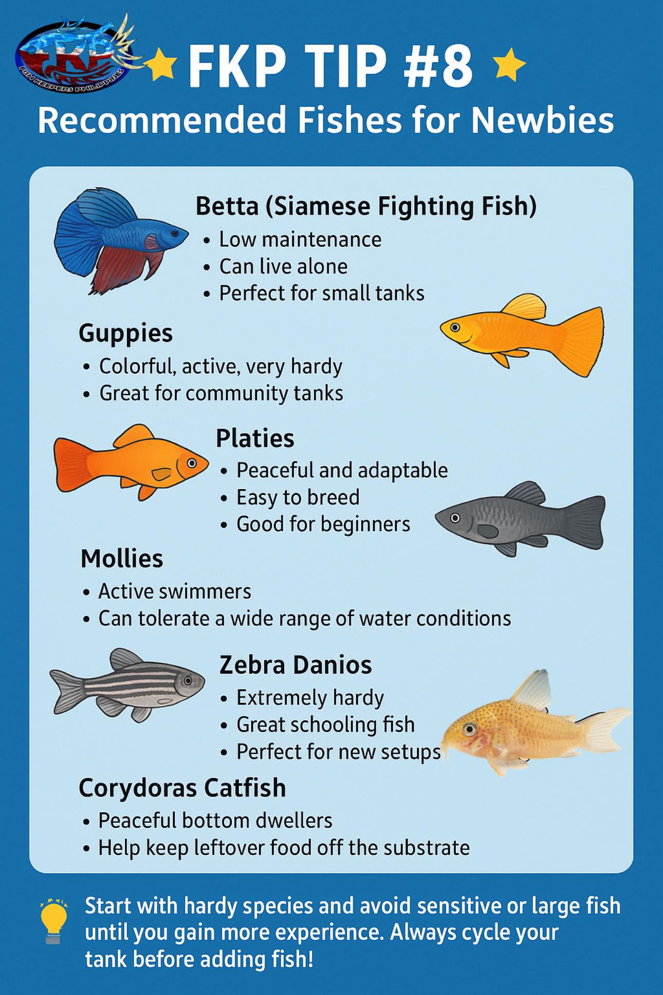 DIY Aquarium and fish tanks | #fkptips | Facebook