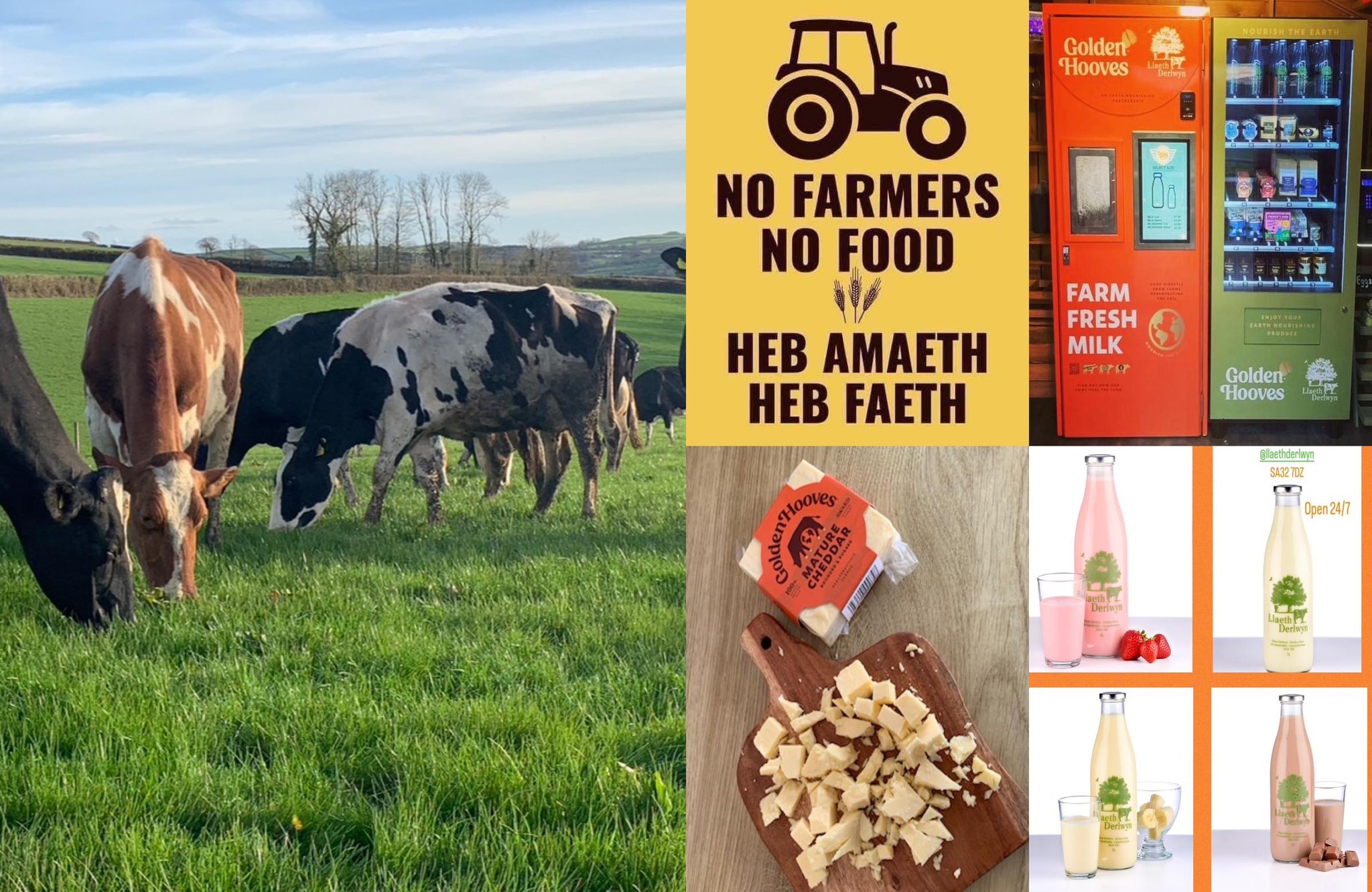 Y Stand Laeth - The Milk... - Y Stand Laeth - The Milk Stand