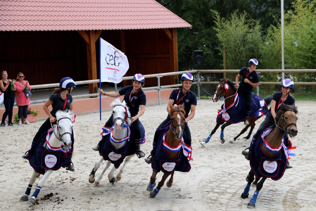 Société d'Equitation... - Société d'Equitation de Paris - SEP