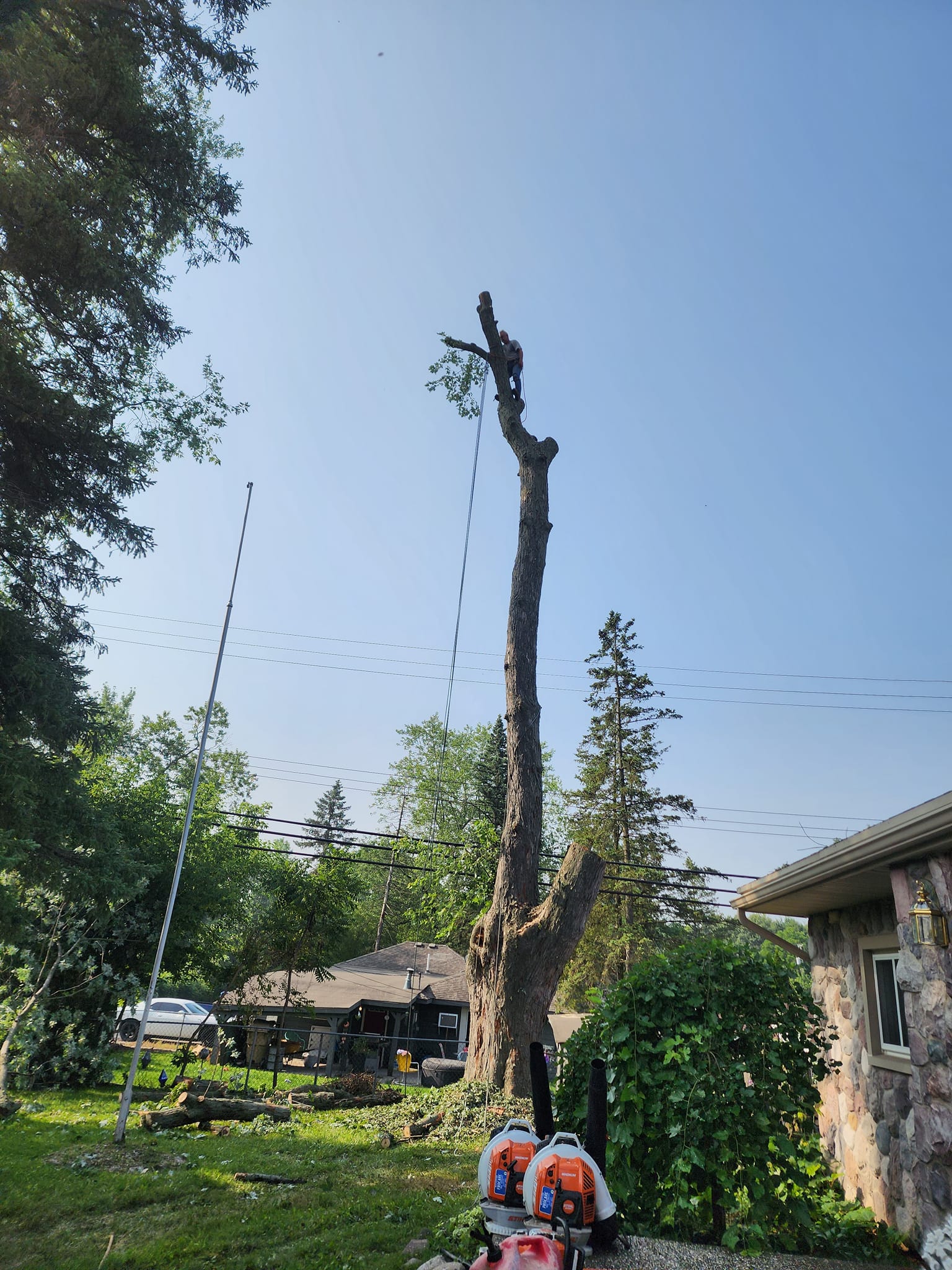 ProCare Tree services | Auburn Hills MI