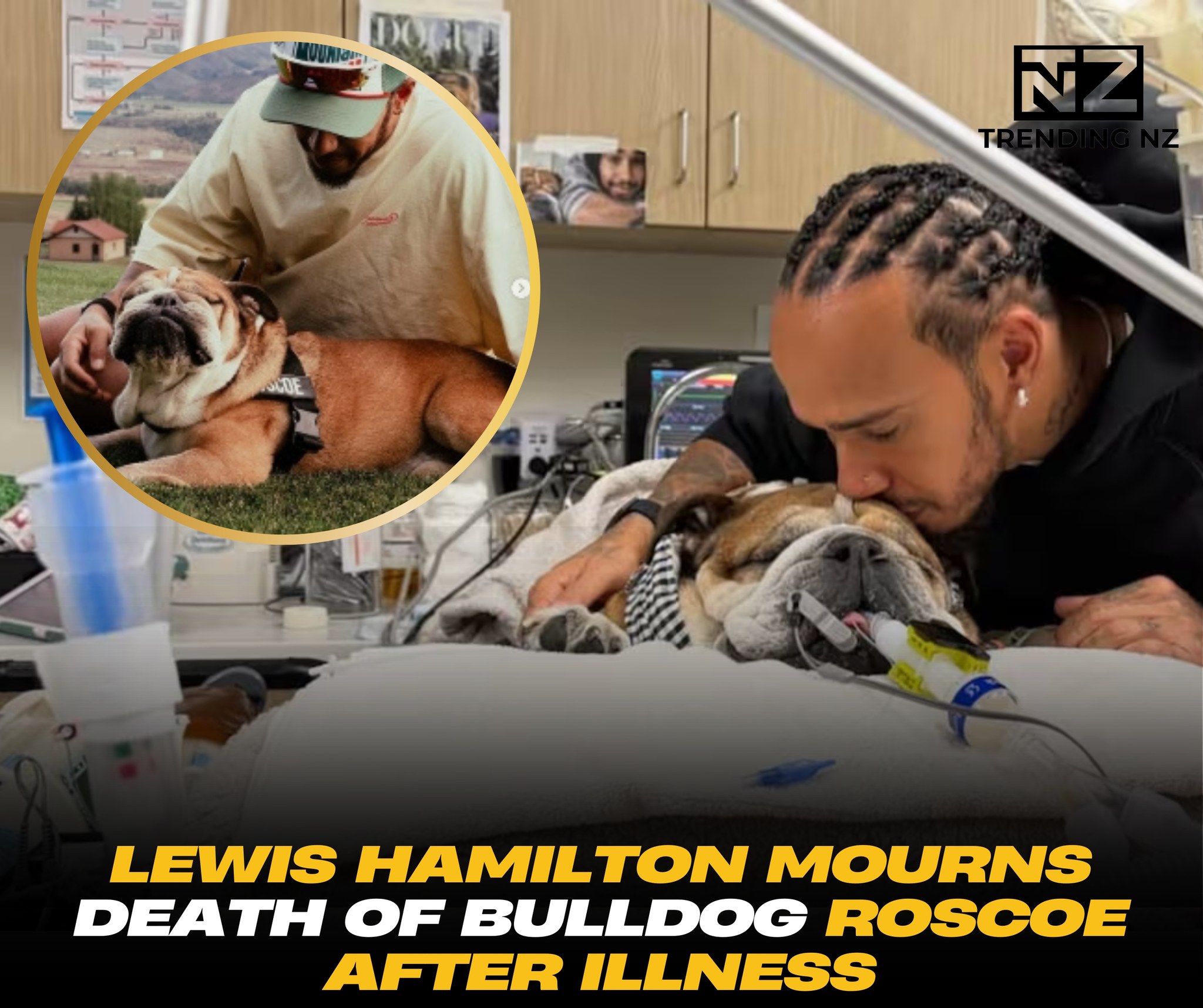 Trending - 💔 Lewis Hamilton says goodbye to Roscoe 🐾 Seven-time F1 ...