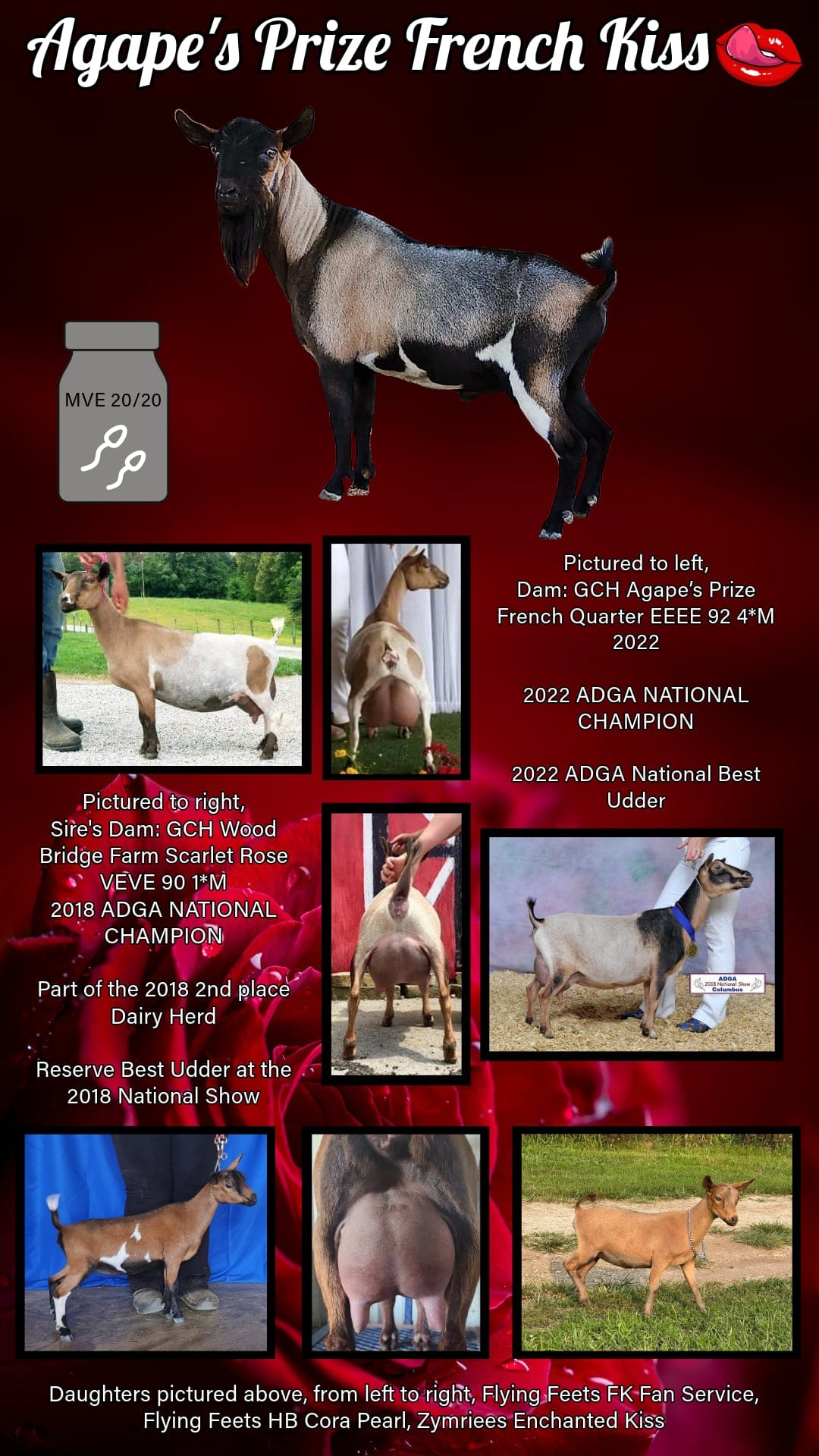 Heritage - ILENESRASCALS KISS FROM A ROSE's sire: Agape's Prize French ...