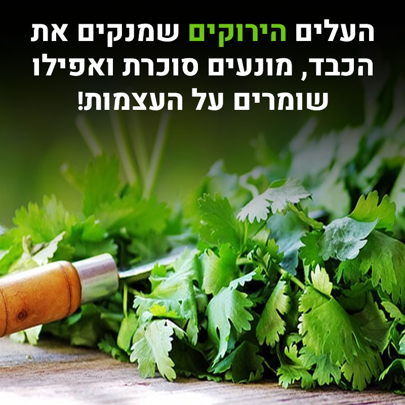 שיפקה - 17 יתרונות בריאותיים מפתיעים שאולי לא הכרתם ... תראו בתגובות 🥰 ...