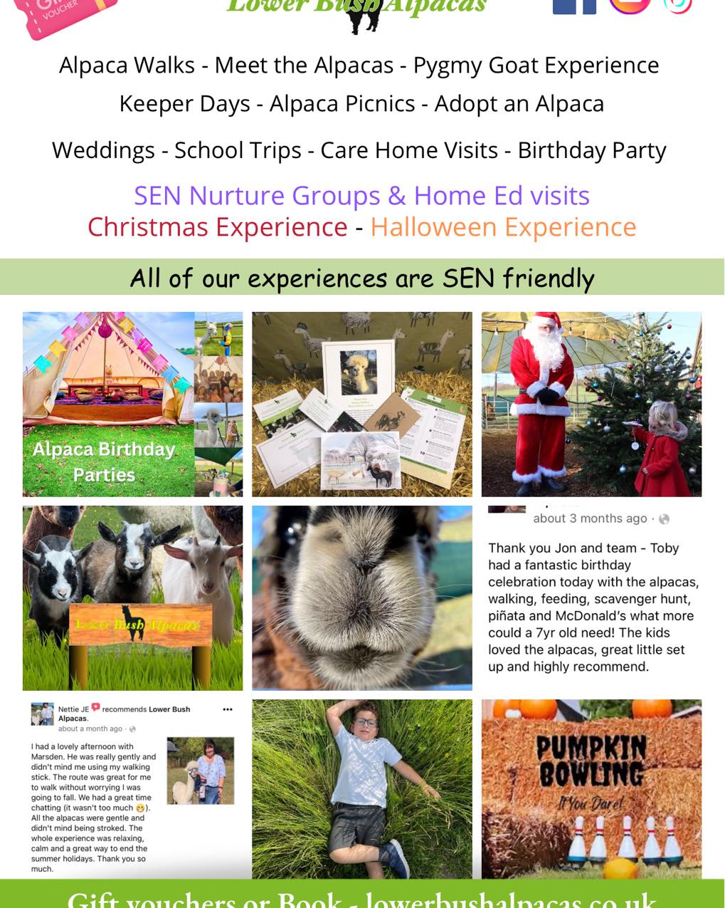 Lower Bush Alpacas added a new photo. - Lower Bush Alpacas