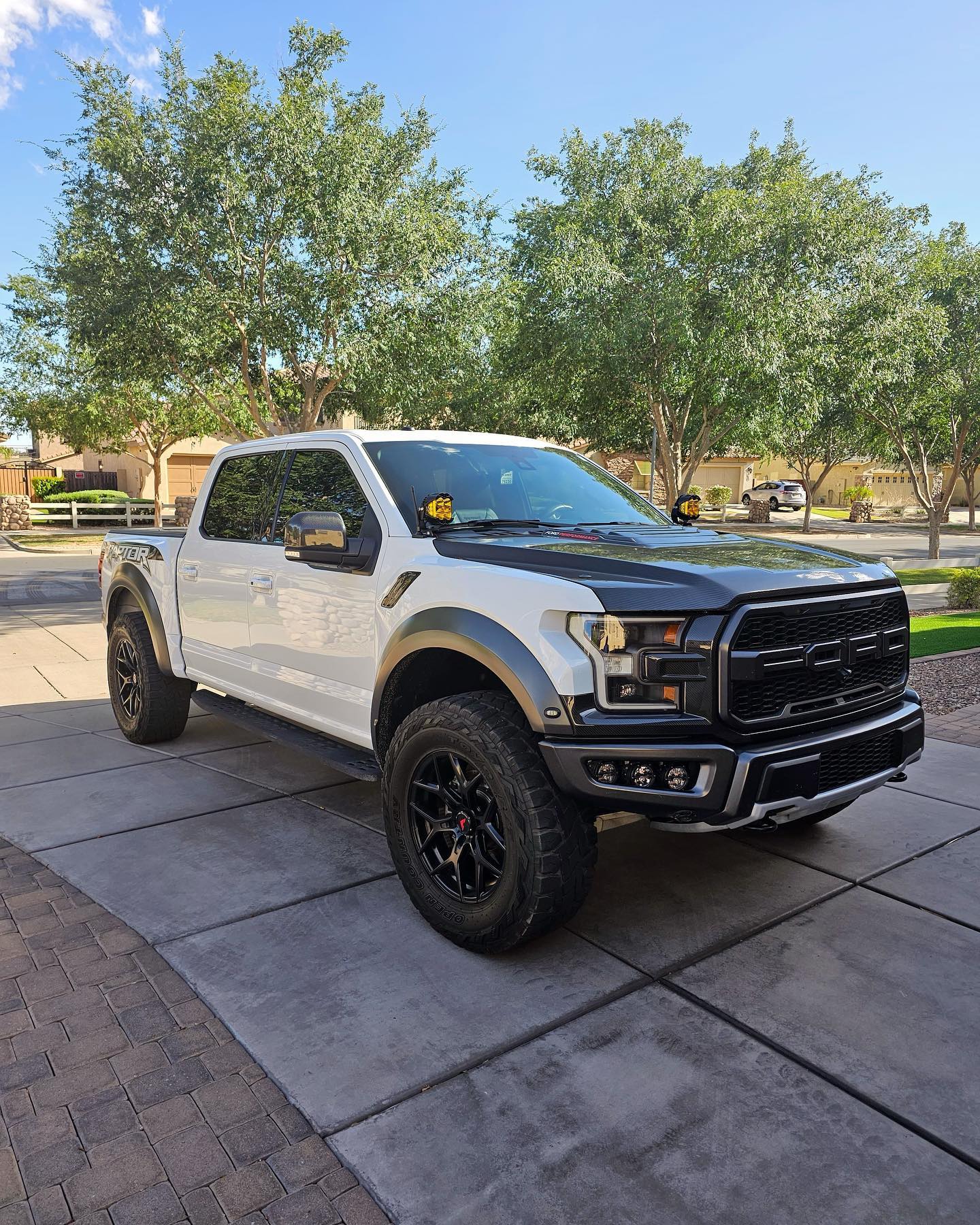 GooseTuned - Check out Pete’s 2018 Raptor out in AZ!! He’s... | Facebook