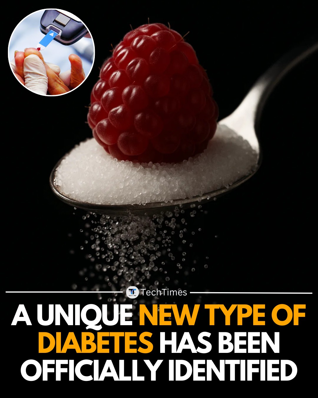 TechTimes - Scientists have officially recognized a new form of ...
