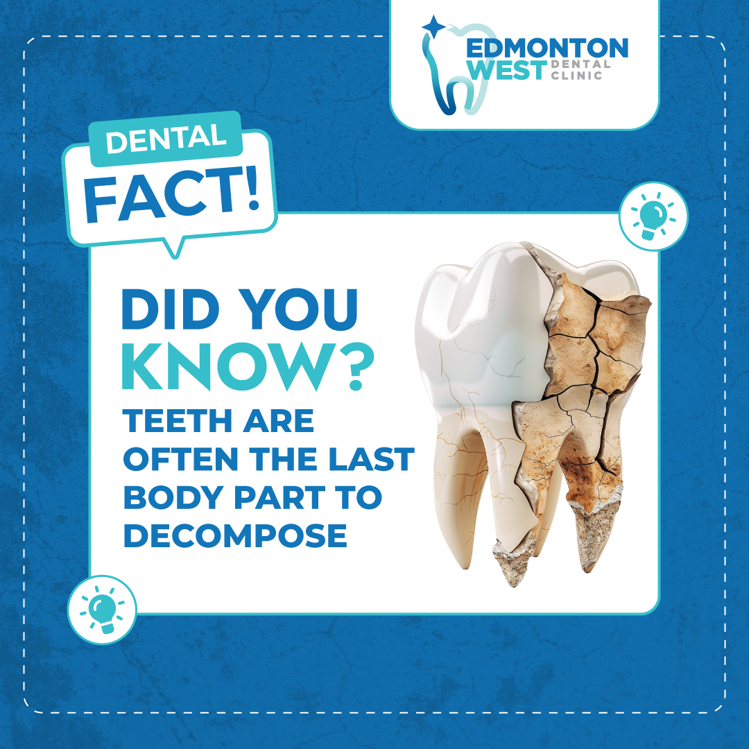 Edmonton - 🦷 Did you know? Teeth are often the last body part to ...