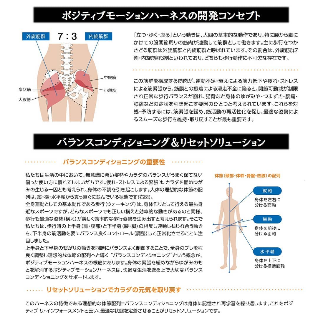 HELINX ポジティブモーションハーネス ファンクショナルハーネス