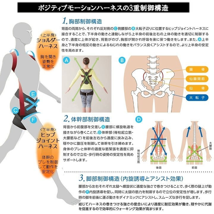 HeLinx ポジティブモーションハーネス 姿勢矯正ベルト helinx #ポジティブモーションハーネス ・従来の #姿勢矯正ベルト 及び