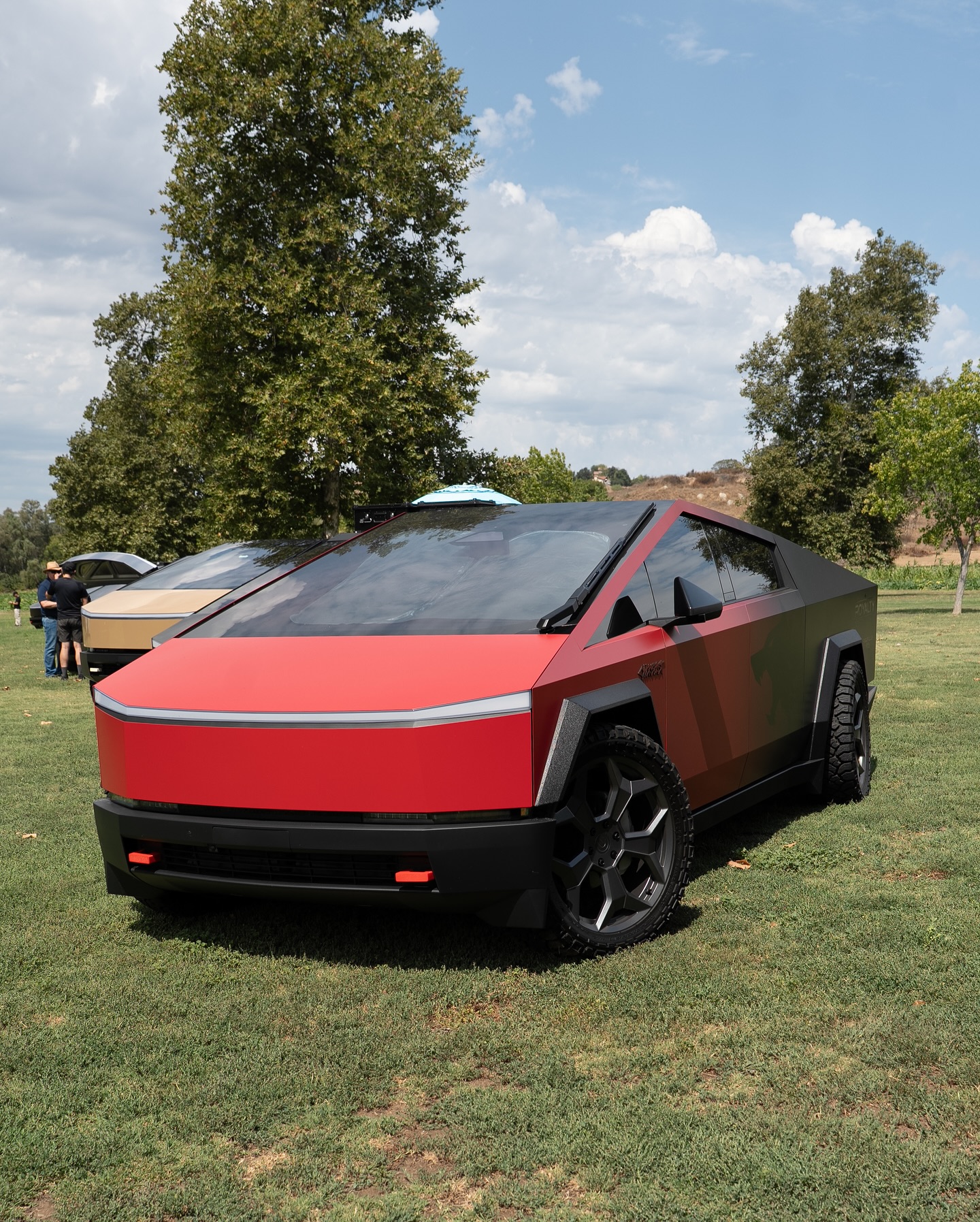 TESLA Model 3 Modified Tesla