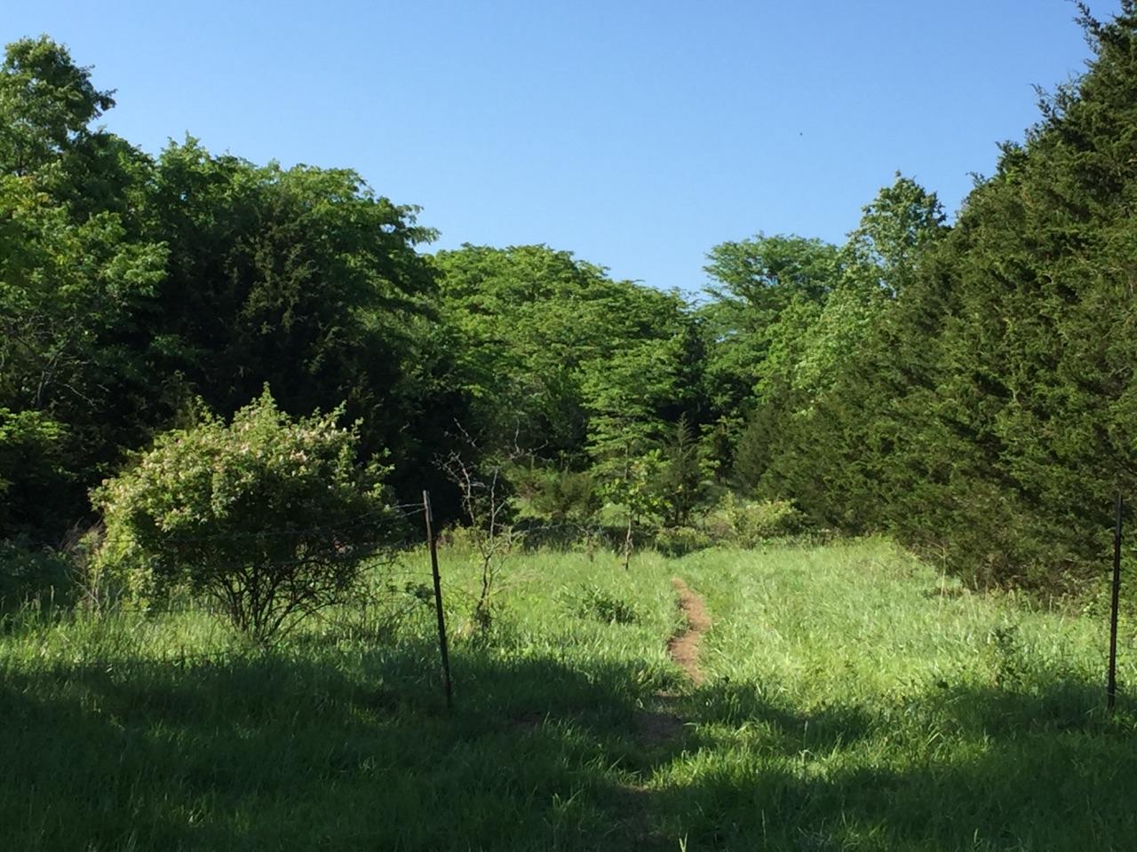 Botts Tree Shearing & Grading, LLC | Fayette MO
