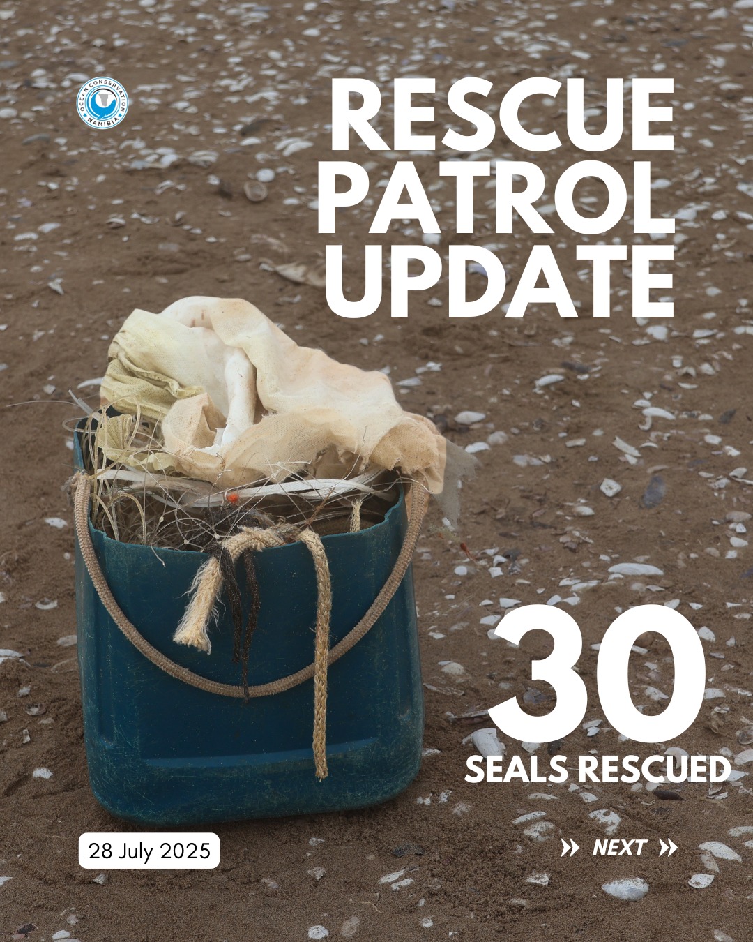 Rescue Patrol Update...... - Ocean Conservation Namibia | Facebook
