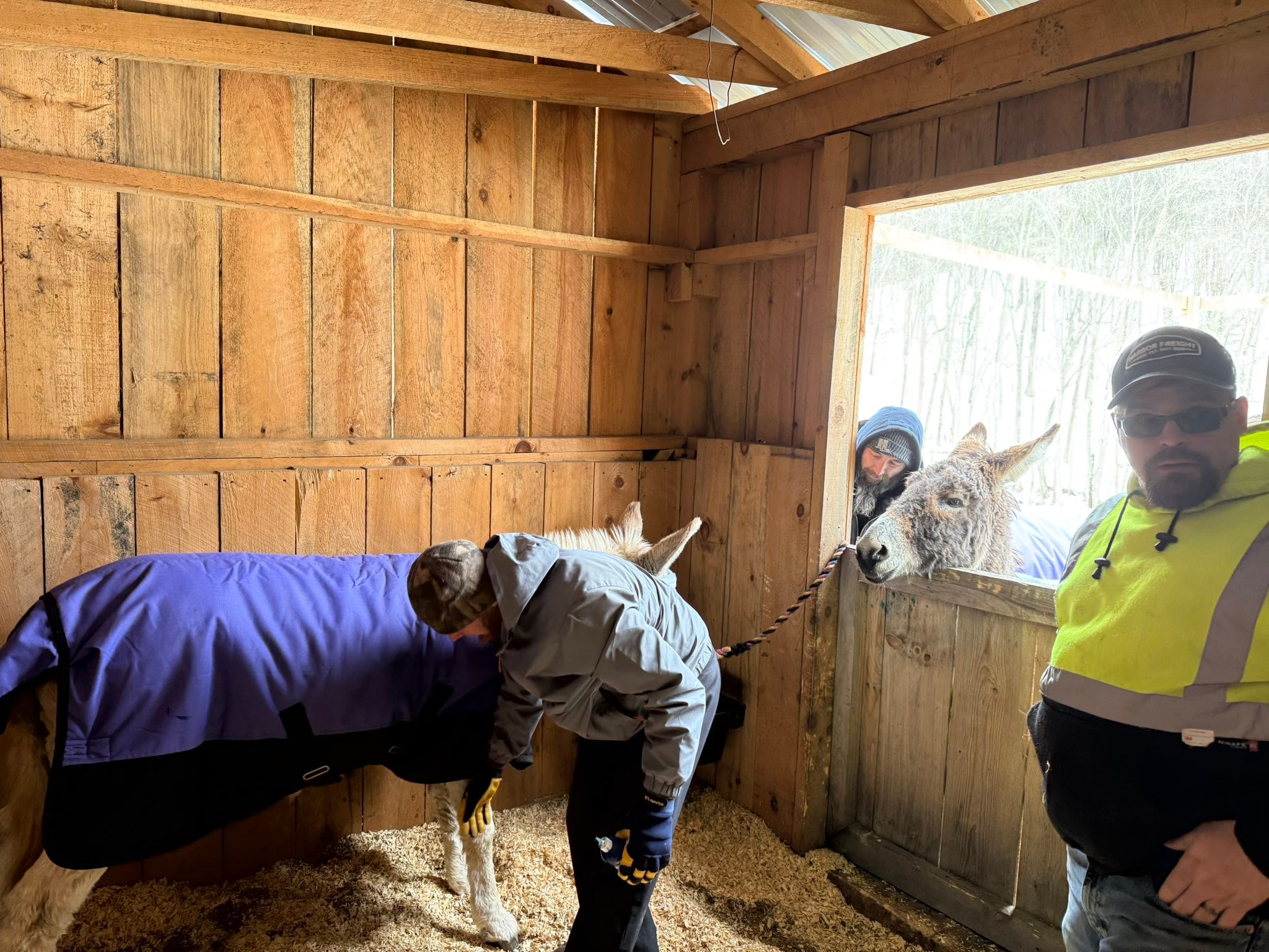 Hope and Hooves... - Hope and Hooves Rescue & Sanctuary