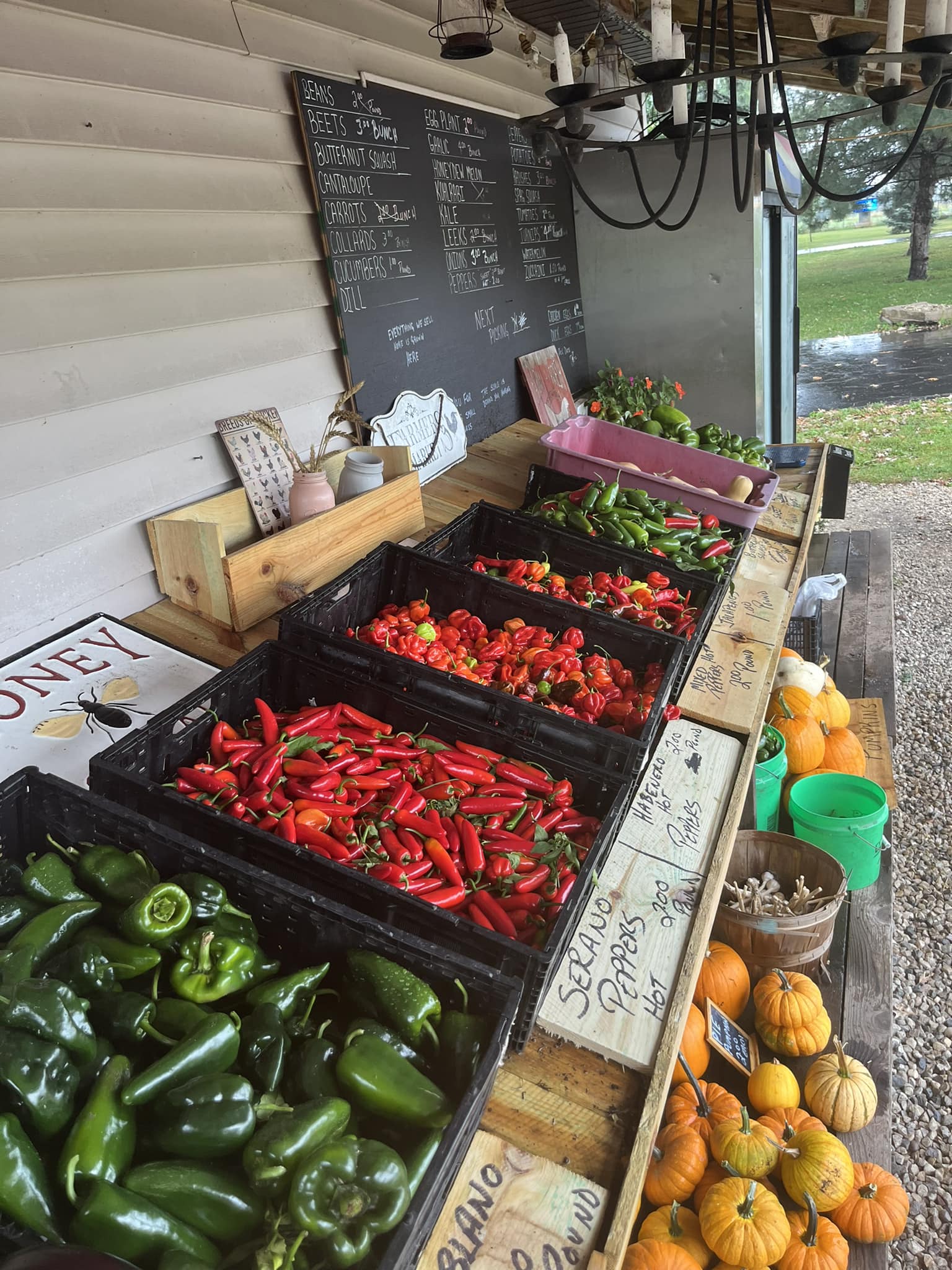 Deep Roots Farm Stand | West Dundee IL