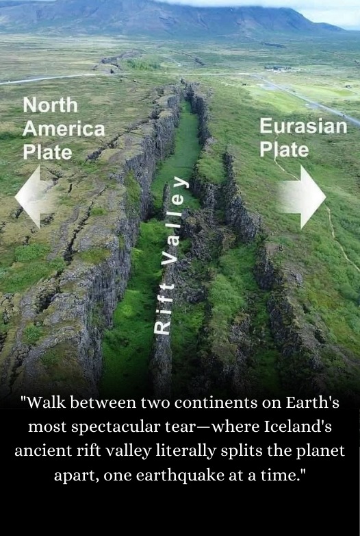 Facts - Amidst the frigid expanse of the #NorthAtlantic Ocean lies a ...