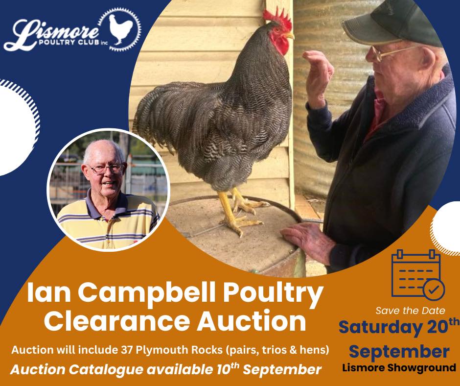 Exhibition Poultry Australia (BYP) | Facebook