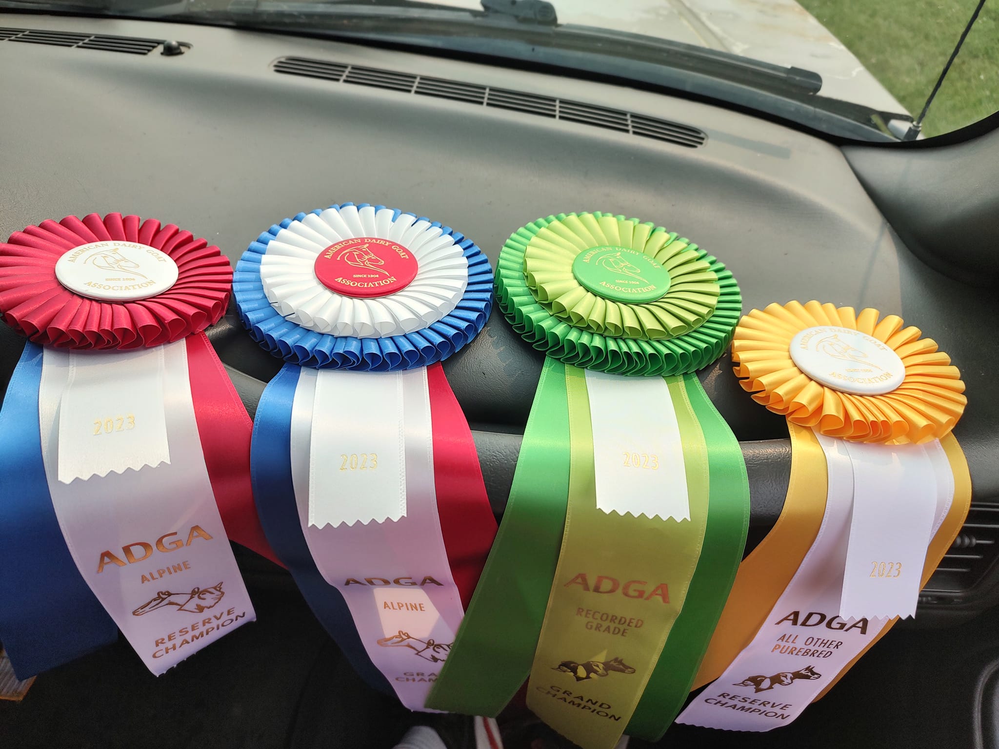 The adult side of showing was pretty... - Karst Kreek Farms