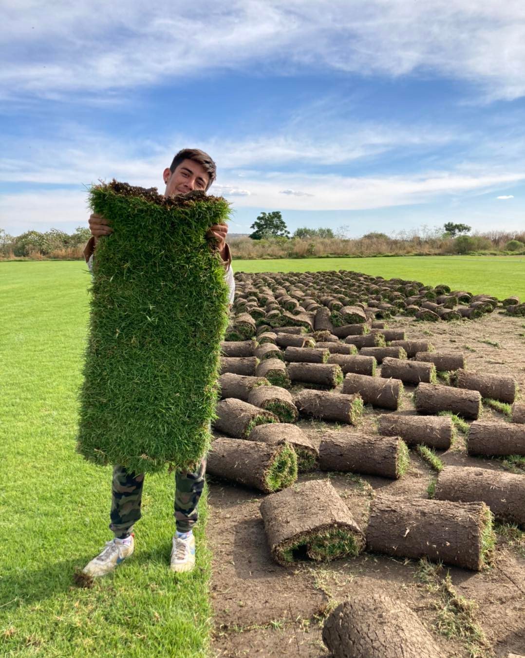 Pasto en Rollo 