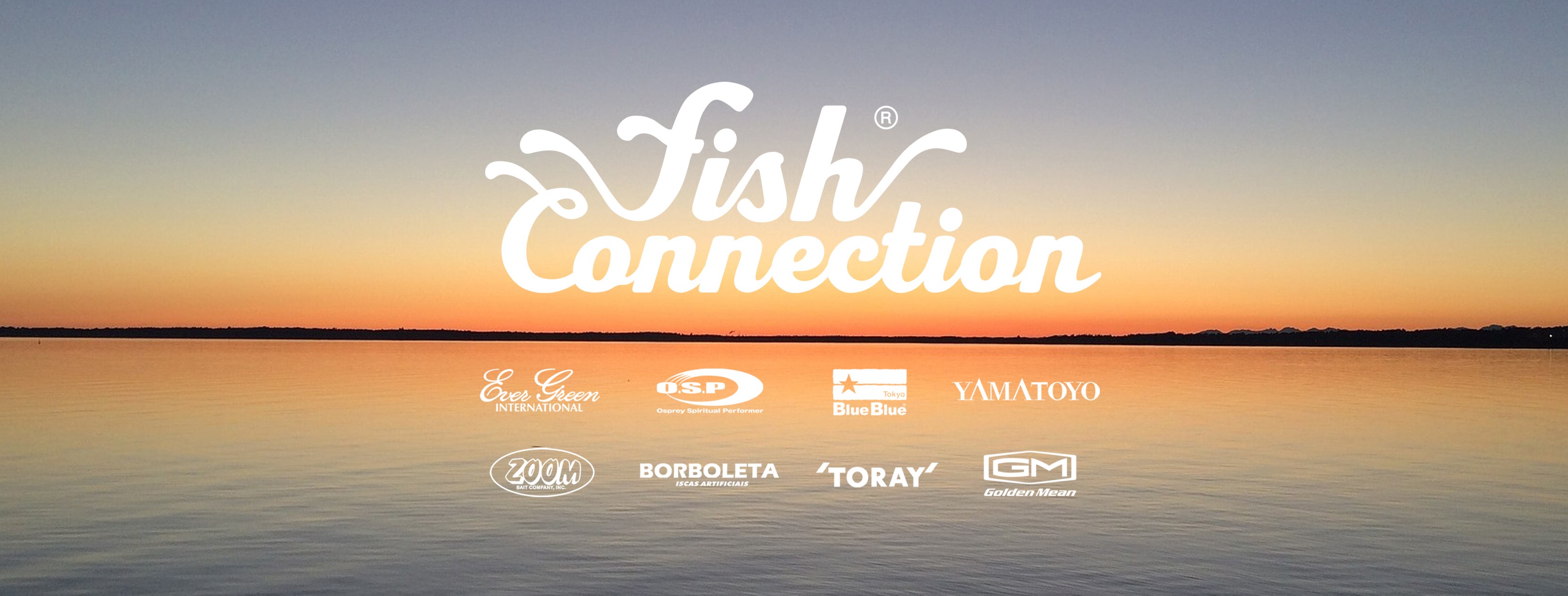 Fish Connection Salt Water Only | Facebook